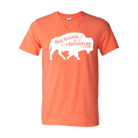 Heather Gildan Soft Style Tee (Men's Sizing)